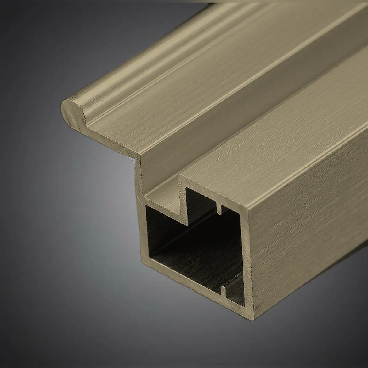 20-20 aluminium insert profile with handle in champagne finish